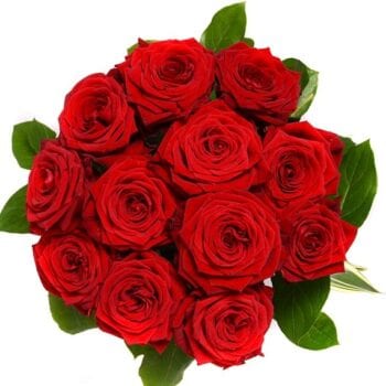 Fresh 12 Rose Bouquets