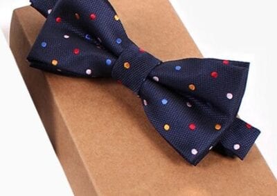 Bow Tie Multi Colors